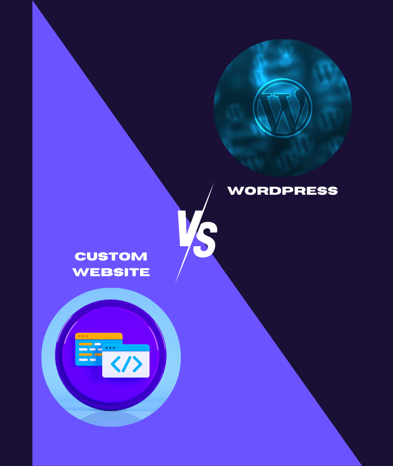 WordPress vs Custom Website: What Should You Choose? - Colitely blog